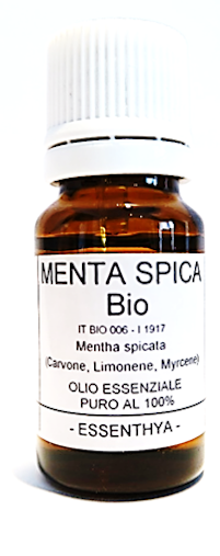 Olio essenziale - Menta spica BIO - Essenthya | Erboristeria Erbainfusa Como | Shop Online
