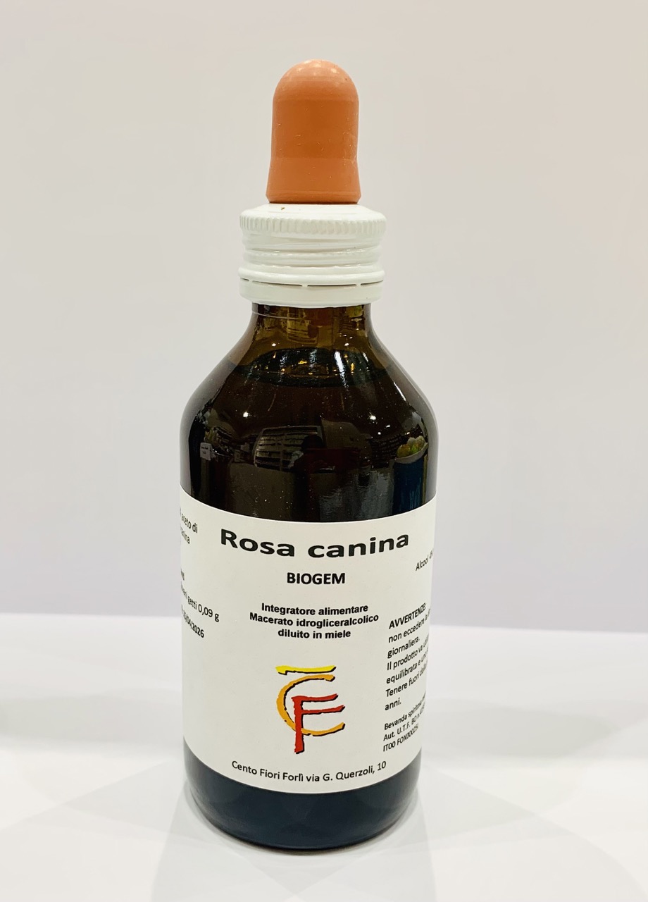 Rosa canina - Centofiori | Erboristeria Erbainfusa Como | Shop Online Grande